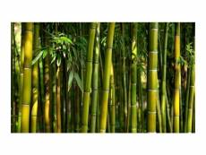 Papier peint - forêt de bambous asiatique cm