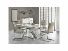 Table à manger design extensible 160-220 x 90 x 75 cm - gris 3207