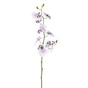 Tige d'orchidée oncidium artificielle blanche et mauve H58