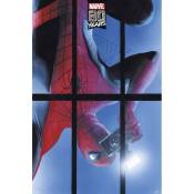 Affiche Marvel 80 Years Spiderman