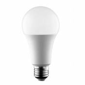 Ampoule led E27 14W A65 1400 lumens | Blanc Froid -