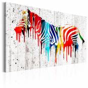 Bimago Tableau - Zèbre colorée - Décoration, image, art | Animaux | Zèbres |