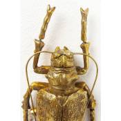 Déco murale Longicorn Beetle dorée Kare Design