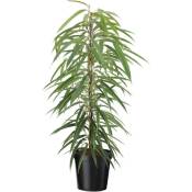 Ficus Binnendijckii Alii - Pot 21cm - Hauteur 100-110cm - Vert