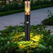 Lampadaire éclairage extérieur Lampadaire fumée cuivre extérieur avec détecteur de mouvement jardin acier inoxydable, plastique, 1x E27, DxH 7,6x110