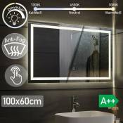 Aquamarin® Miroir Salle de Bain LED - 100 x 60 cm, CEE:A++, Tactile, Mural, Éclairage Blanc Froid/Chaud/Neutre, Fonction Mémoire, Anti-Buée - Miroir