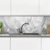Crédence en verre - Dandelions Macro Shot In Black And White - Panorama Dimension: 40cm x 100cm