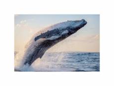 Tableau sur verre synthétique saut de baleine 65x97 cm 632932