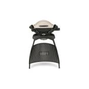 Barbecue gaz q 1000 Stand Gas Grill - Weber