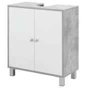 kleankin Meuble salle de bain meuble sous vasque sur pied placard 2 portes avec 2 étagères 60 x 30 x 68 cm gris blanc