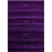 Plus - julia - Tapis Uni à dégradé (Violet - 120x170cm)