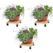 Support pour plantes à roulettes en pin brut (Lot