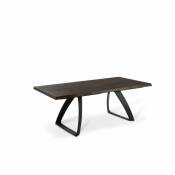 Table extensible 200-300 x 100 cm - Pont