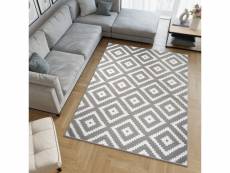 Tapiso tapis salon chambre firet moderne gris blanc marocain géométrique fin 250x350 cm L885D GRAY 2,50*3,50 FIRET ESM