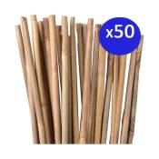 50 x Tuteur en Bambou 120 cm, 8-10 mm. Baguettes de