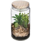 Terrarium avec plante artificielle - pot en verre et