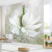Ensemble de rideaux coulissants - White Nigella - 5 Rideaux à panneaux Dimension: 250 x 300cm (5 rideaux á 250 x 60cm), Système de montage: sans