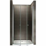 GINA Porte de douche H 195 cm largeur réglable 108 à 112 cm transparent