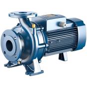 Pompe centrifuge standard pour Installation agricole 18,5 kW Pedrollo F50/200A