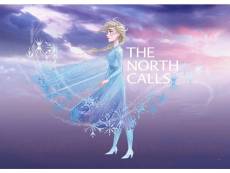Poster disney la reine des neiges 2 - elsa l'appel du nord 50 cm x 40 cm