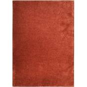 Solance - Tapis lumineux rouge argile 160x230 - Rouge