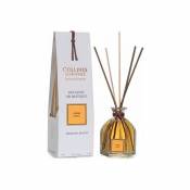 Collines De Provence - Bouquet parfumé ambre 100 ml - Multicolore