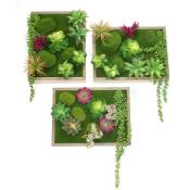 Ensemble de 3 Tableaux végétal mural avec plantes