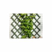 Nature Treillis croisillon extensible en bois peint en vert 100x200cm