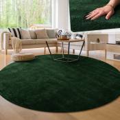 Paco Home - Tapis de salon Unicolore Lavable Pile courte et douce Vert, 120 cm rond