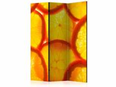 Paris prix - paravent 3 volets "orange slices" 135x172cm
