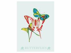 Nature - signature poster - butterflies - 40x60 cm