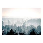 Papier peint forêt d'hiver 400 x 280 cm
