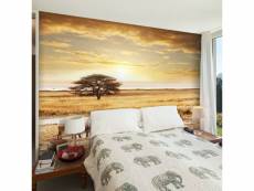Paris prix - papier peint "zèbres africains à l'abreuvoir" 270 x 350 cm