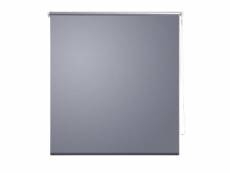 Store enrouleur gris occultant 100 x 230 cm fenêtre
