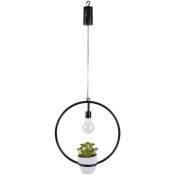 Suspension led décorative avec plante Garden - h. 35 cm - Diam. 30 x 32 - Noir