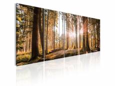 Tableau sur toile en 5 panneaux décoration murale image imprimée cadre en bois à suspendre beauté de la nature 200x80 cm 11_0006418