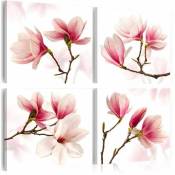 Artgeist - Tableau rose romantique - 40 x 40 cm - Blanc,