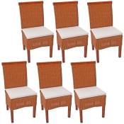 Lot de 6 chaises M42 salle à manger, rotin/bois, 46x50x96cm avec coussins - brown