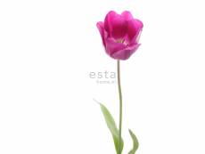 Papier peint panoramique tulipe rose et vert - 156502 - 93 x 211,5 cm 156502