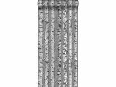 Papier peint troncs de bouleau gris taupe et gris chaud clair - 138892 - 53 cm x 10,05 m 138892