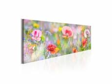 Tableau - rainbow of morning poppies-120x40 A1-N5945