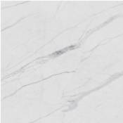 Crédence de cuisine auto-adhésive Caméléo aspect marbre blanc l. 200 cm x H. 40 cm x ép. 0 2 mm