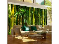 Papier peint forêt de bambous asiatique A1-F4TNT0454-P