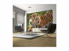 Papier peint tigre de sumatra l 200 x h 154 cm A1-LFTNT0106