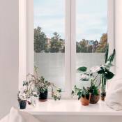 Transform - Adhésif décoratif pour vitre Rayures opaque 200 x 45cm Blanc - Blanc