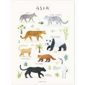 Affiche Animaux d'Asie (30 x 40 cm)