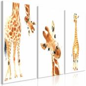 Artgeist - Tableau girafes drôles - 60 x 30 cm - Blanc