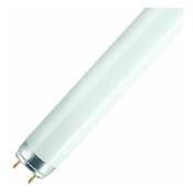 Ledvance - Tube fluorescent lumilux T8 G13 - 15W - 4000K - Dimmable