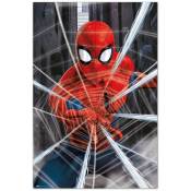 Pank - Poster marvel spider-man gotcha