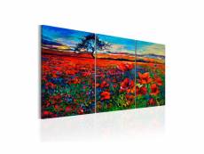 Tableau - valley of poppies-60x30 A1-N5587